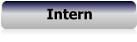 Intern
